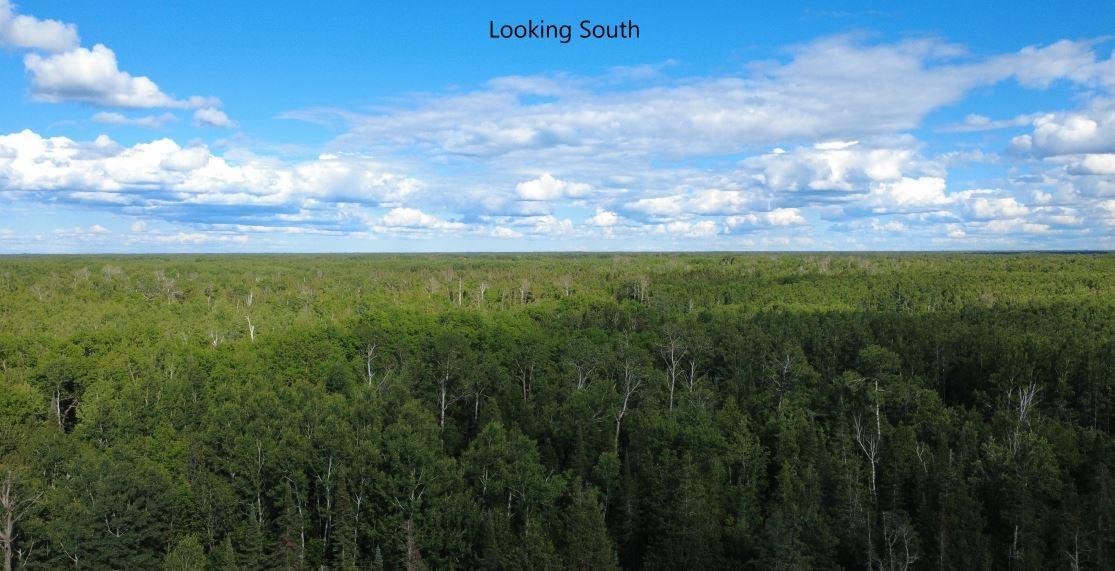 242 acres Drone Pic looking South.jpg
