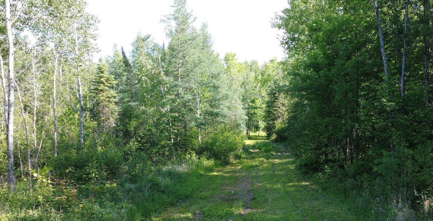 242 acres view from Cabin.jpg