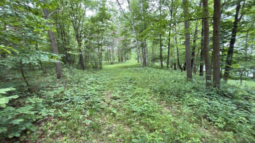 765 270th Cty Rd O, Frederic, WI 54837