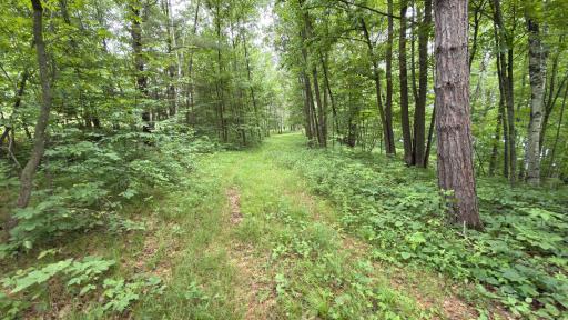 765 270th Cty Rd O, Frederic, WI 54837