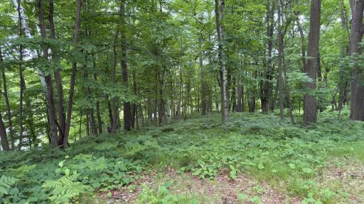 765 270th Cty Rd O, Frederic, WI 54837
