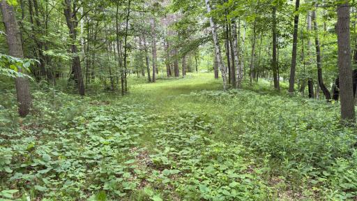 765 270th Cty Rd O, Frederic, WI 54837