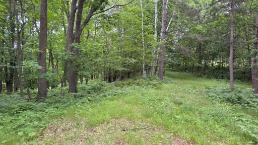 765 270th Cty Rd O, Frederic, WI 54837