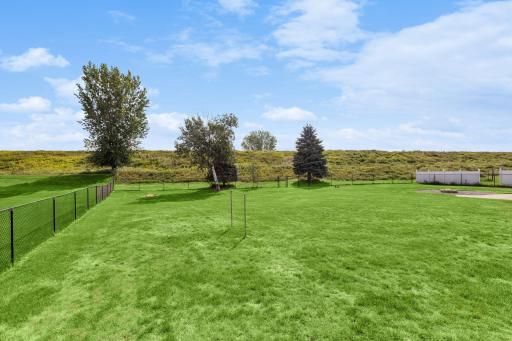 10577 Alamo Street Northeast - Flat and usable Greenspace