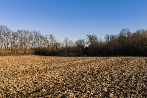 TBD Lot 1 Park Trail, Center City, MN 55012