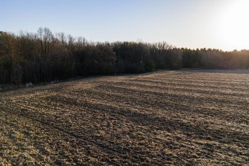 TBD Lot 1 Park Trail, Center City, MN 55012