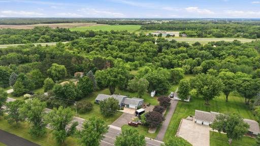 Beautiful tree coverage adds year-round color