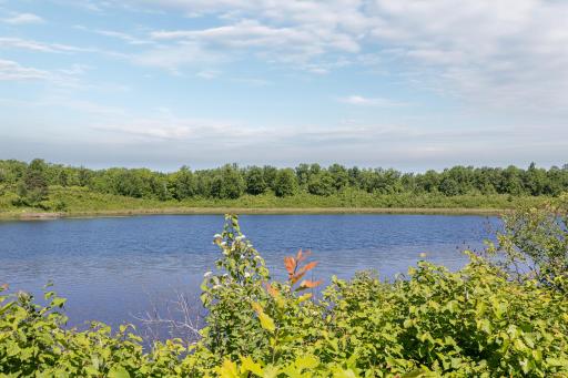 TBD. Kestrel Trail NW, Hackensack, MN 56452