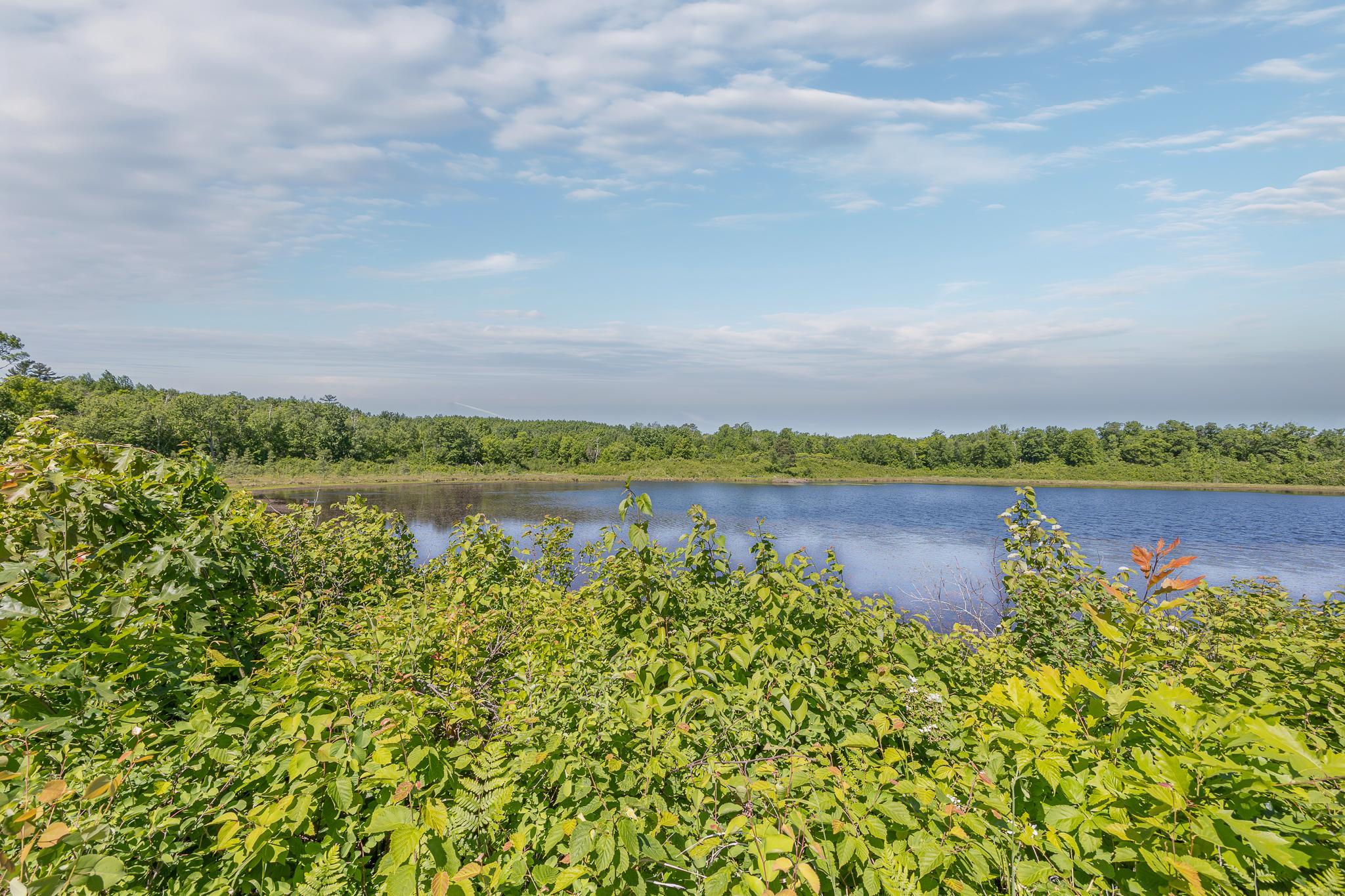 6.60 Acres of land on pond