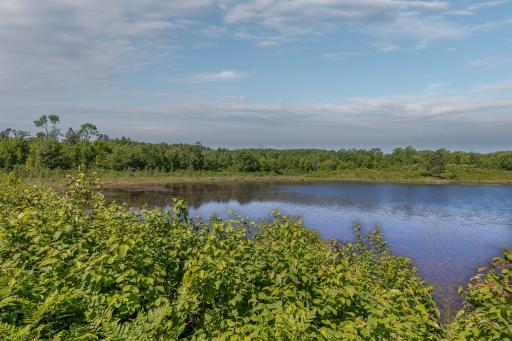 TBD. Kestrel Trail NW, Hackensack, MN 56452