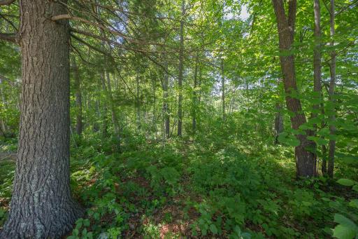 TBD. Kestrel Trail NW, Hackensack, MN 56452