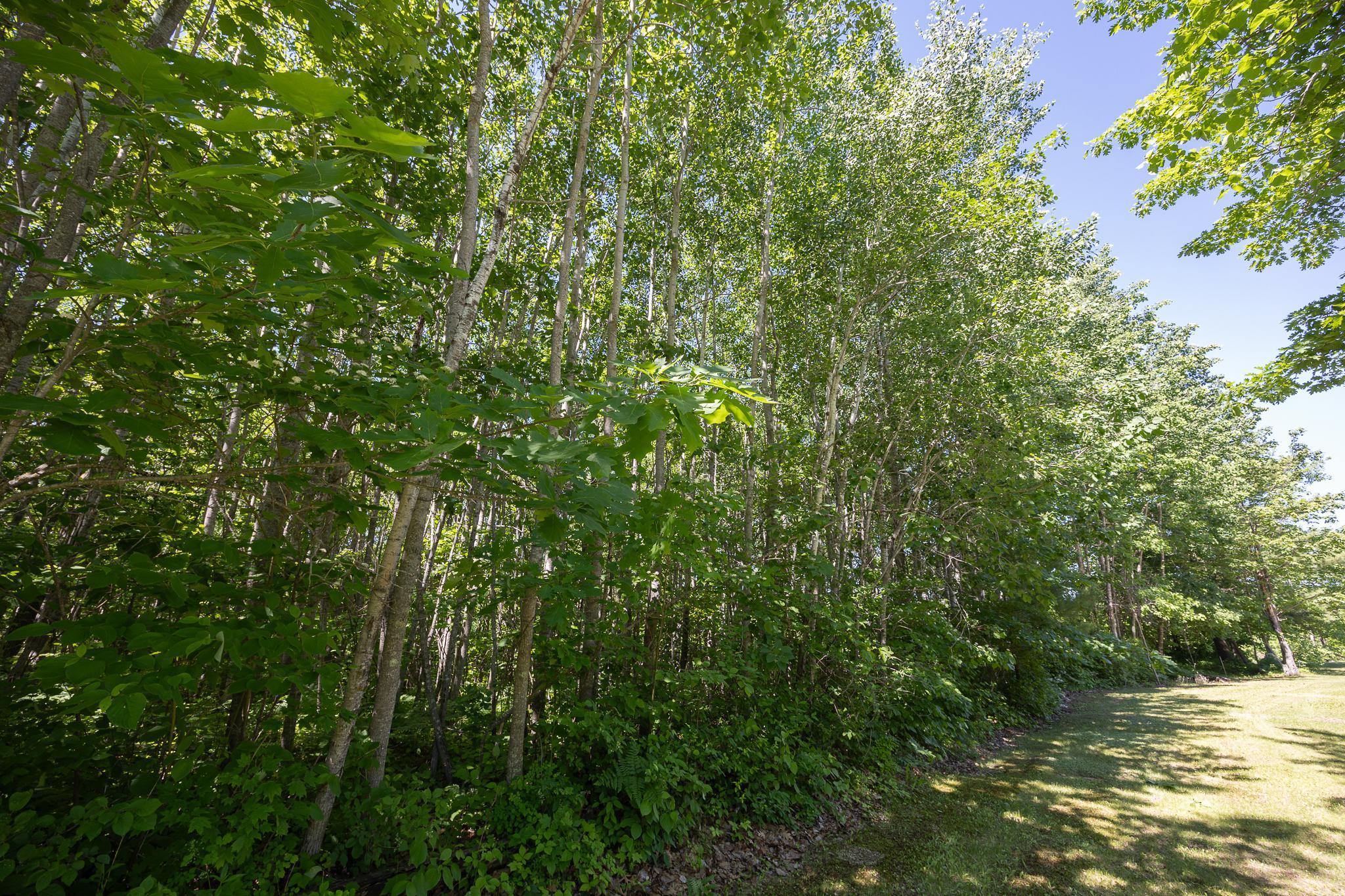 Additional lot views