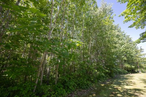 TBD. Kestrel Trail NW, Hackensack, MN 56452
