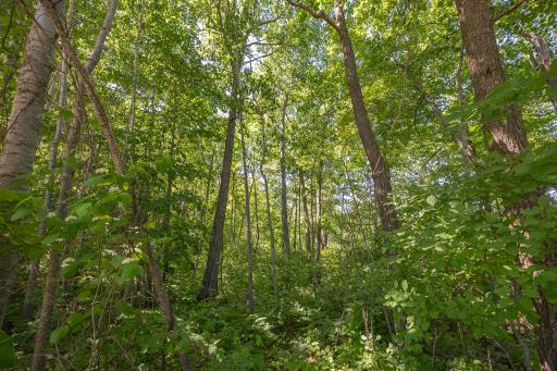 TBD. Kestrel Trail NW, Hackensack, MN 56452