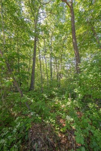 TBD. Kestrel Trail NW, Hackensack, MN 56452