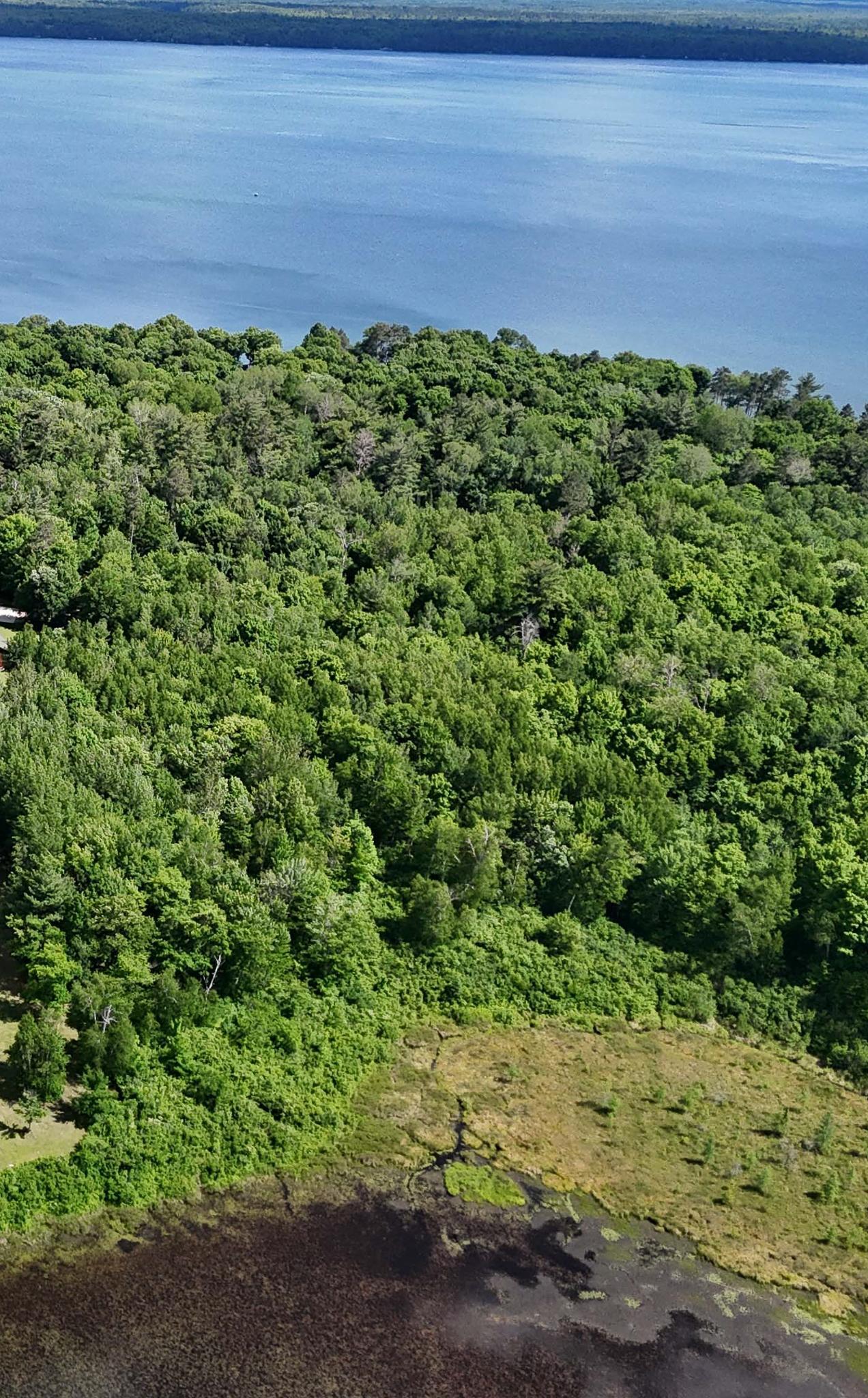 Aerial views of property