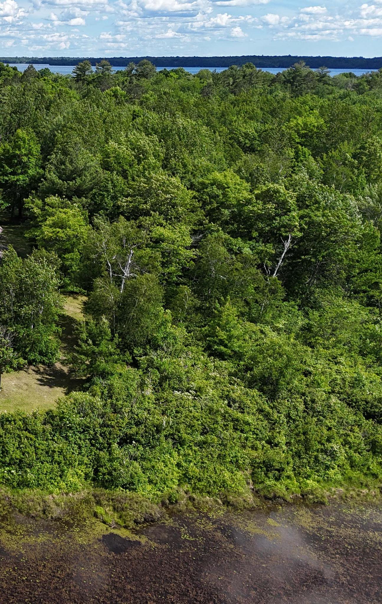 Aerial views of property