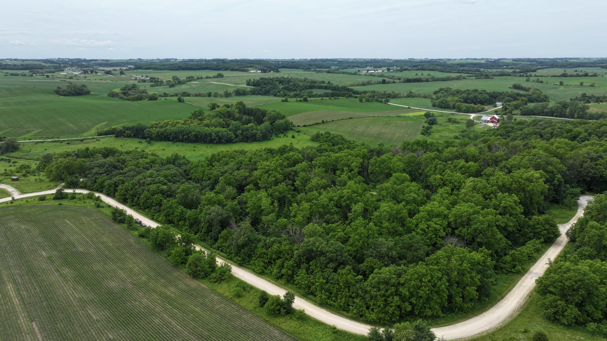 DJI_20260613124504_0723_D.JPG