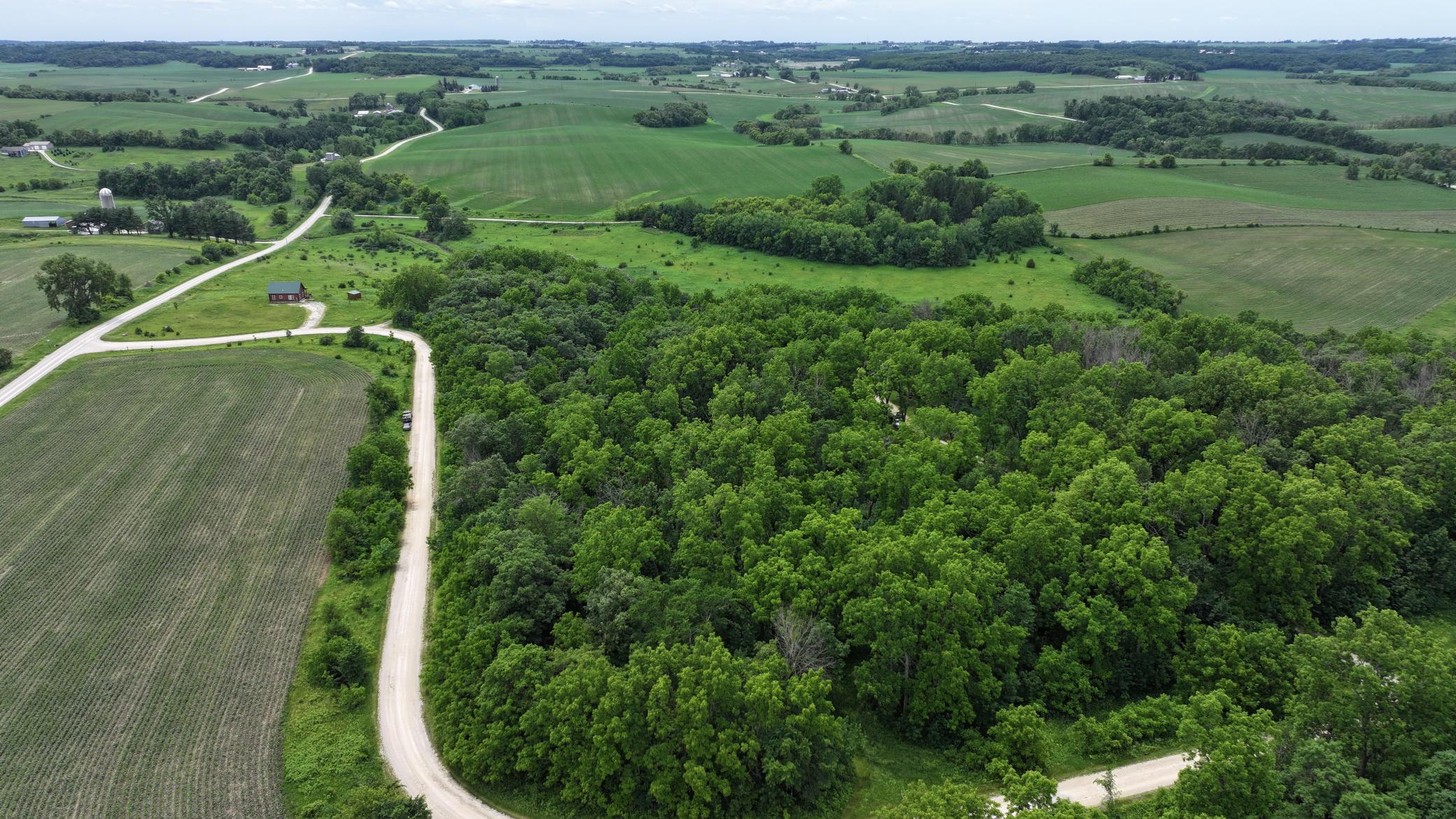 DJI_20260613124447_0722_D.JPG
