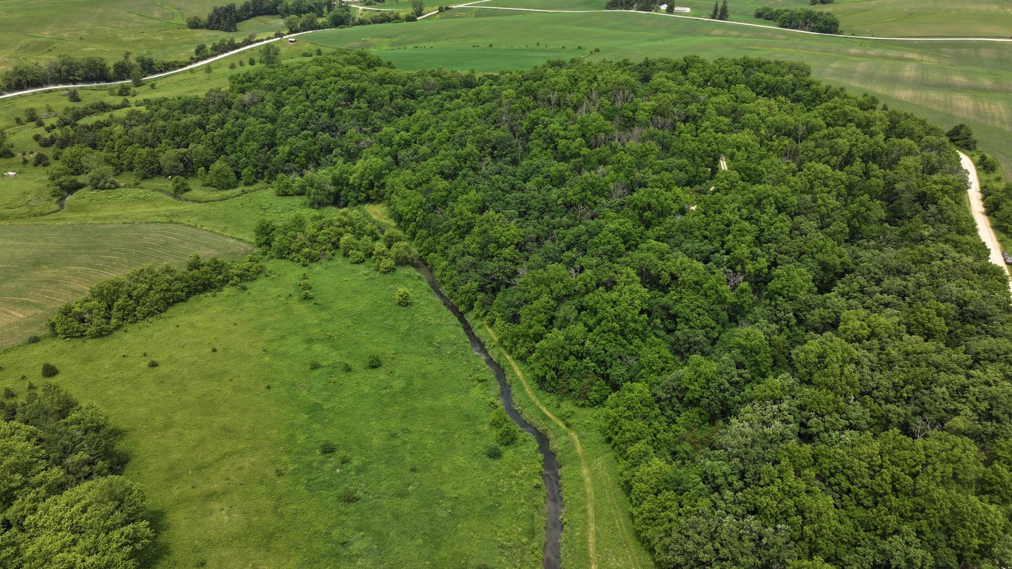 DJI_20260613124310_0720_D.JPG