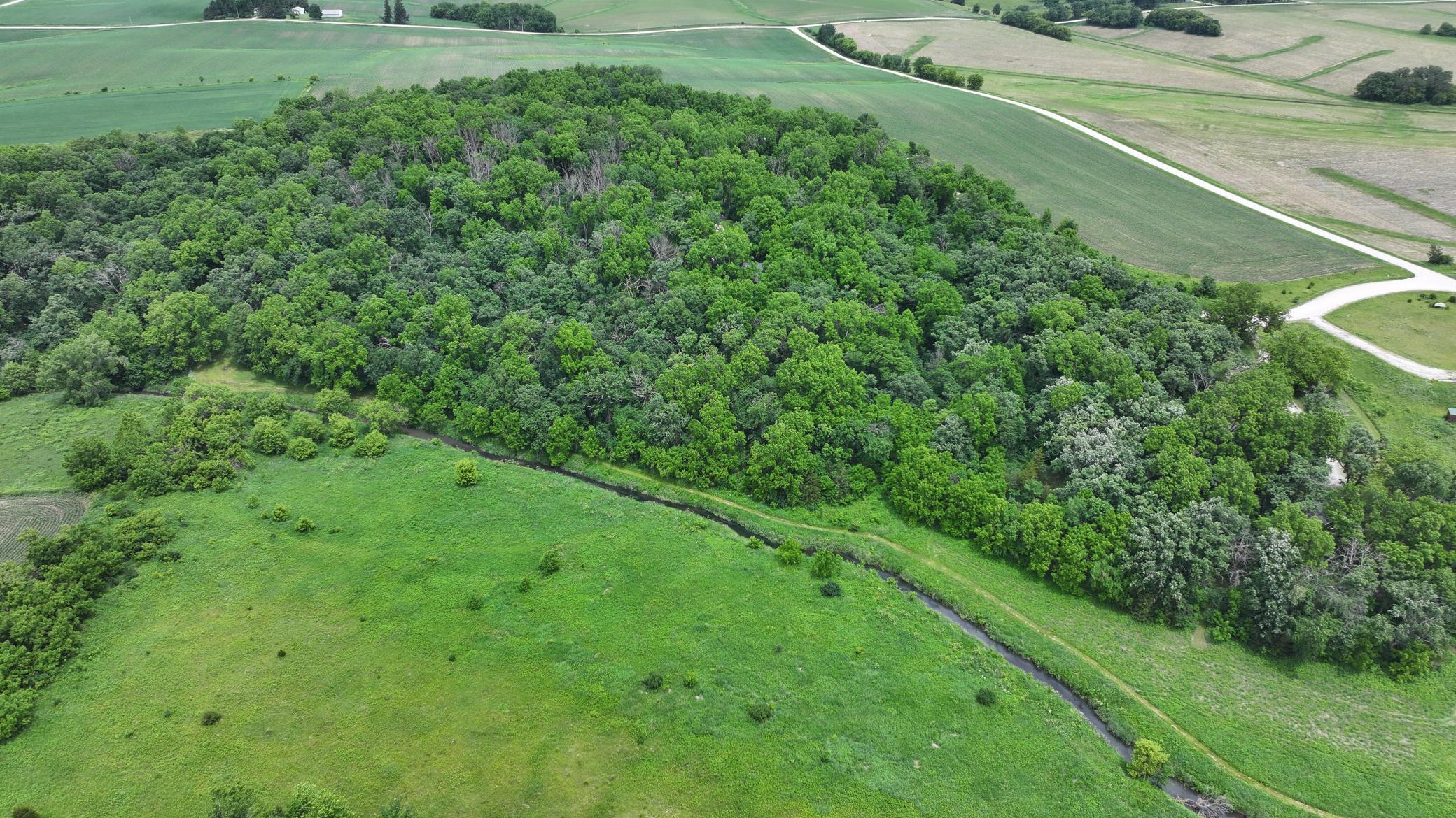 DJI_20260613124326_0721_D.JPG