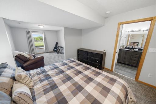 Lower Level Bedroom 3