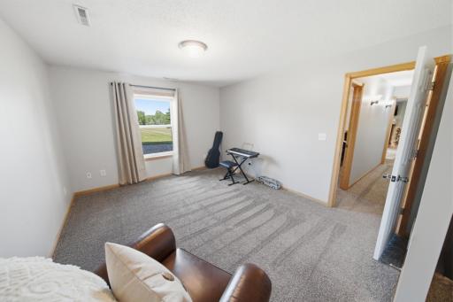 Lower Level Bedroom 3