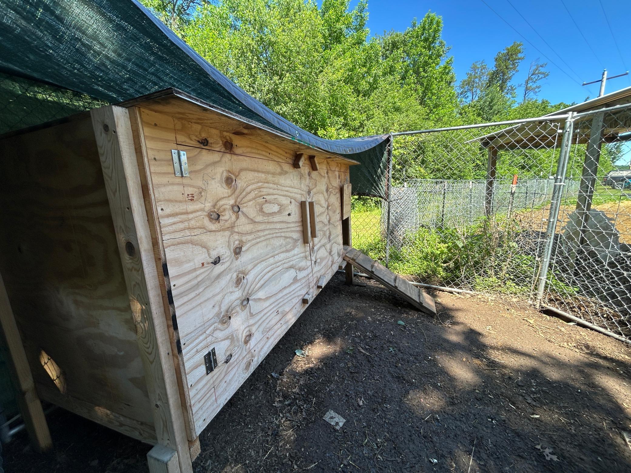 4x8 Chicken Coop