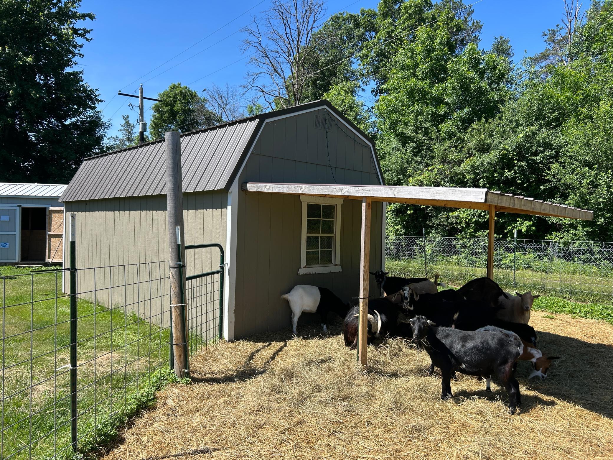 10x20 Animal Shelter