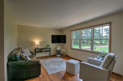 Abundance of natural light shines into the living room. Brand new pull down blinds have been installed throughout home as well!