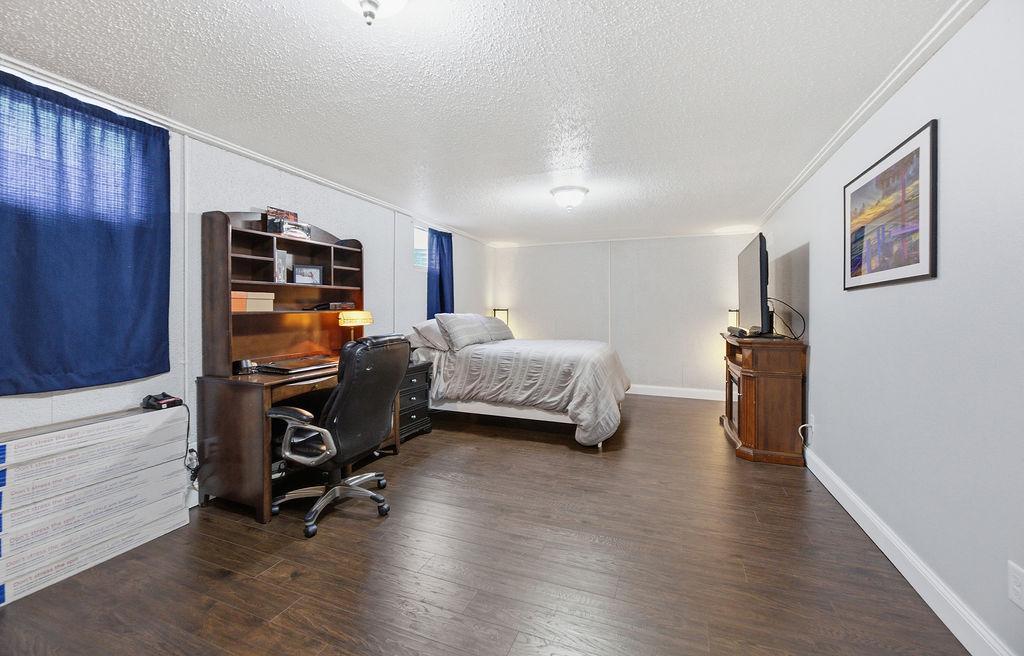 Basement Flex Room