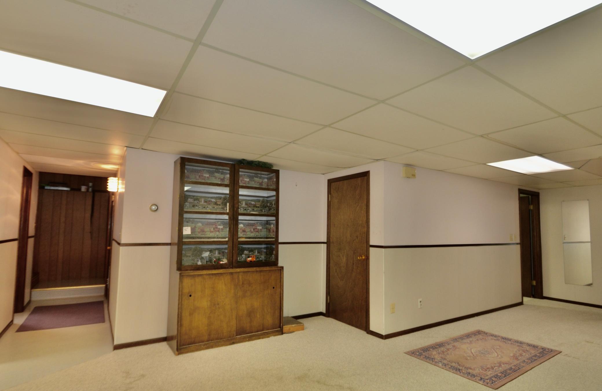 Downstairs Family Room