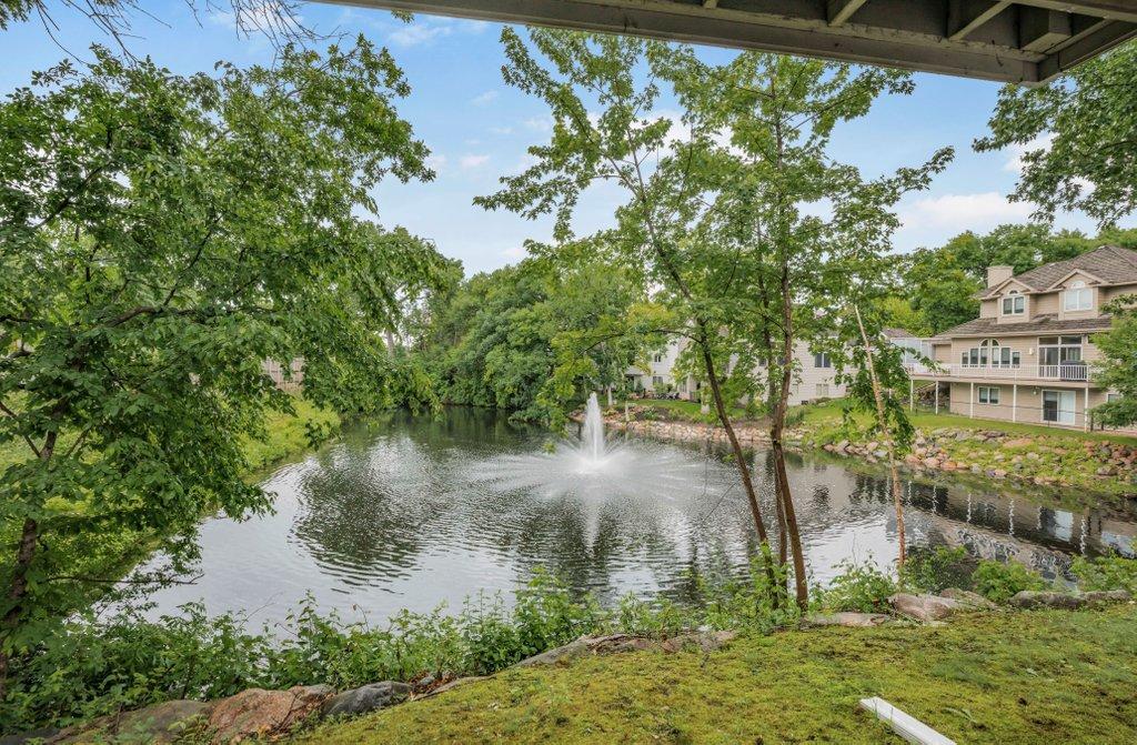 Pond view