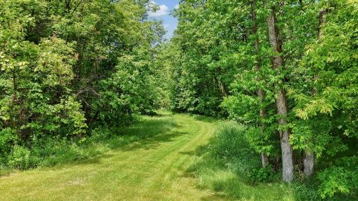 33532 State Hwy 46, Deer River, MN 56636