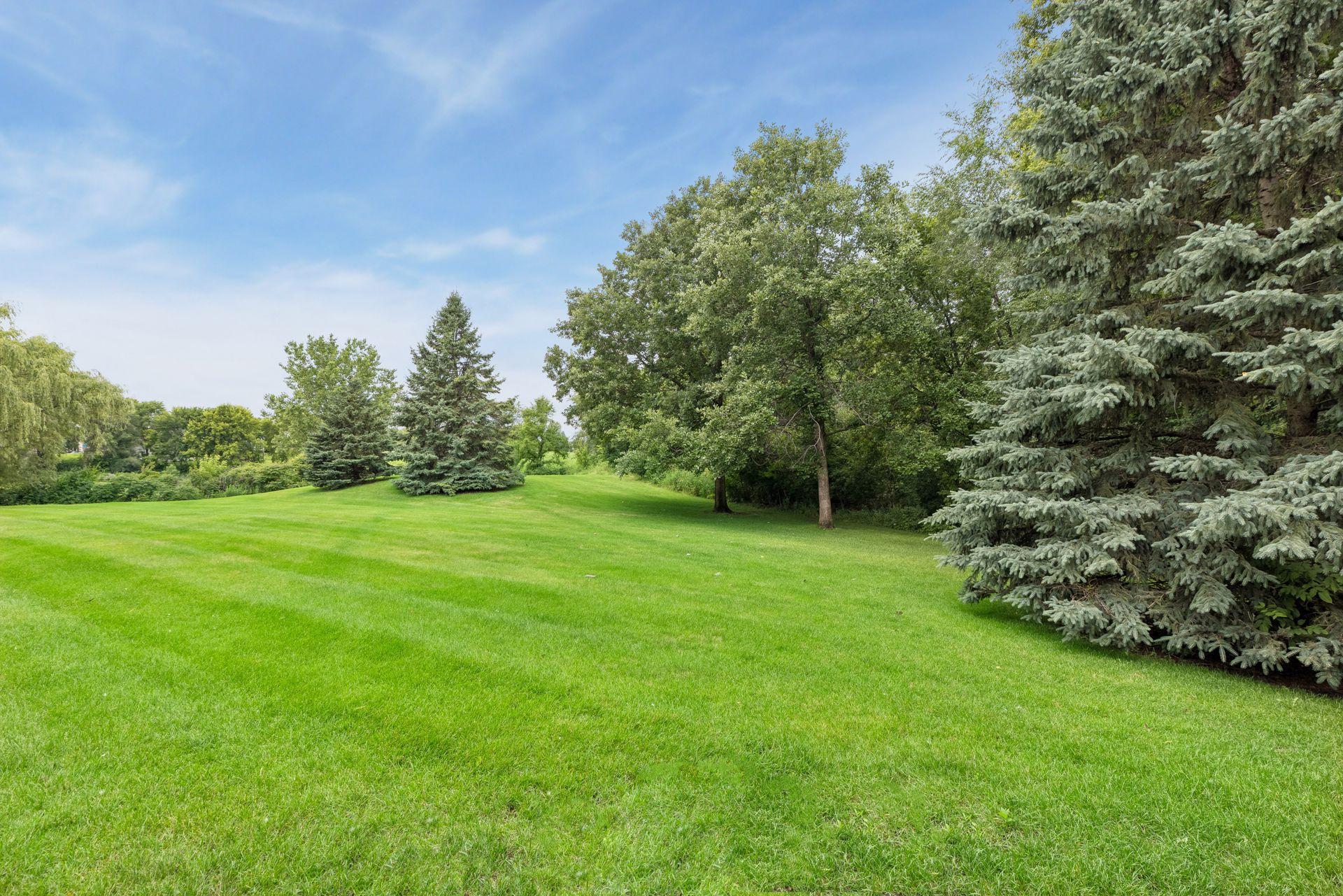 10426 Eagle Pointe Circle - Premium lot with only trees and grass for your view.