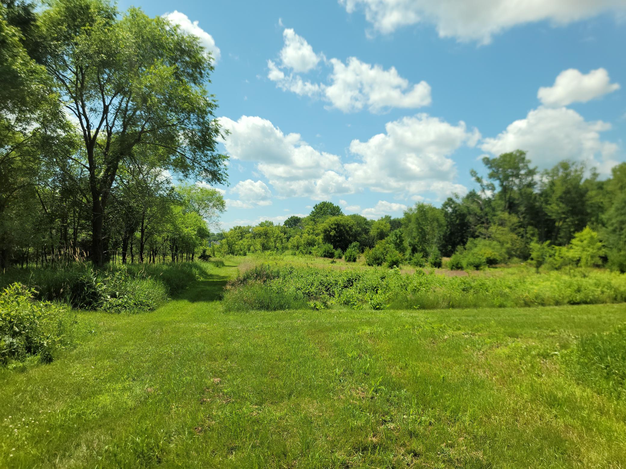 20260705_142917.jpg