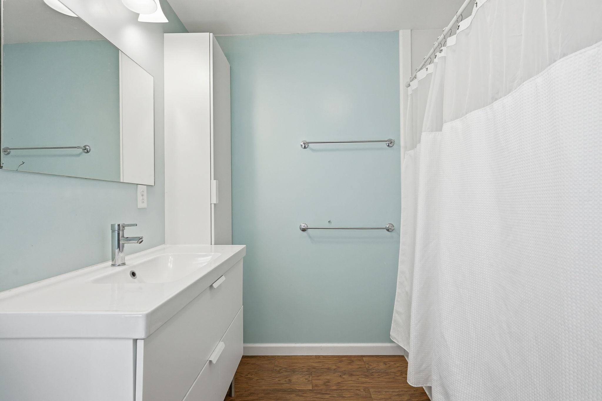 Lower level full bath