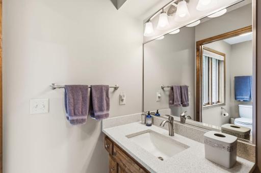 4031 Terrace Lane, Hopkins, MN 55305