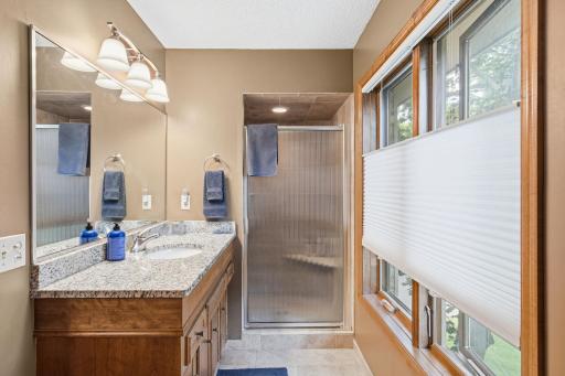 4031 Terrace Lane, Hopkins, MN 55305