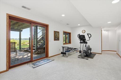 Lower level Amusement and exercise Rooms with walk-out patio door to back patio is great access for kids and pets. New carpet and great lake views