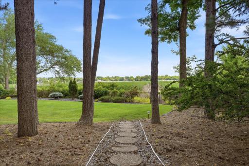 Fully fenced backyard is perfect for kids and pets to roam and play. Plenty of space for future vegetable or flower gardens. Mature tall trees for ample shade