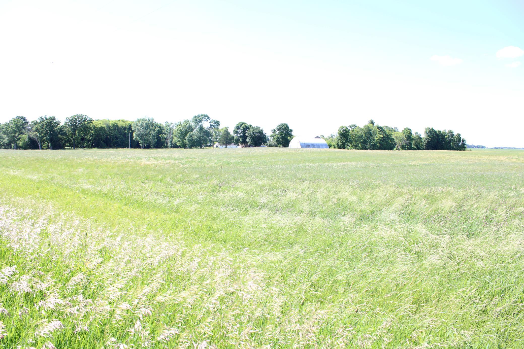View NW from the Corner of 225th St and Ideal Ave.