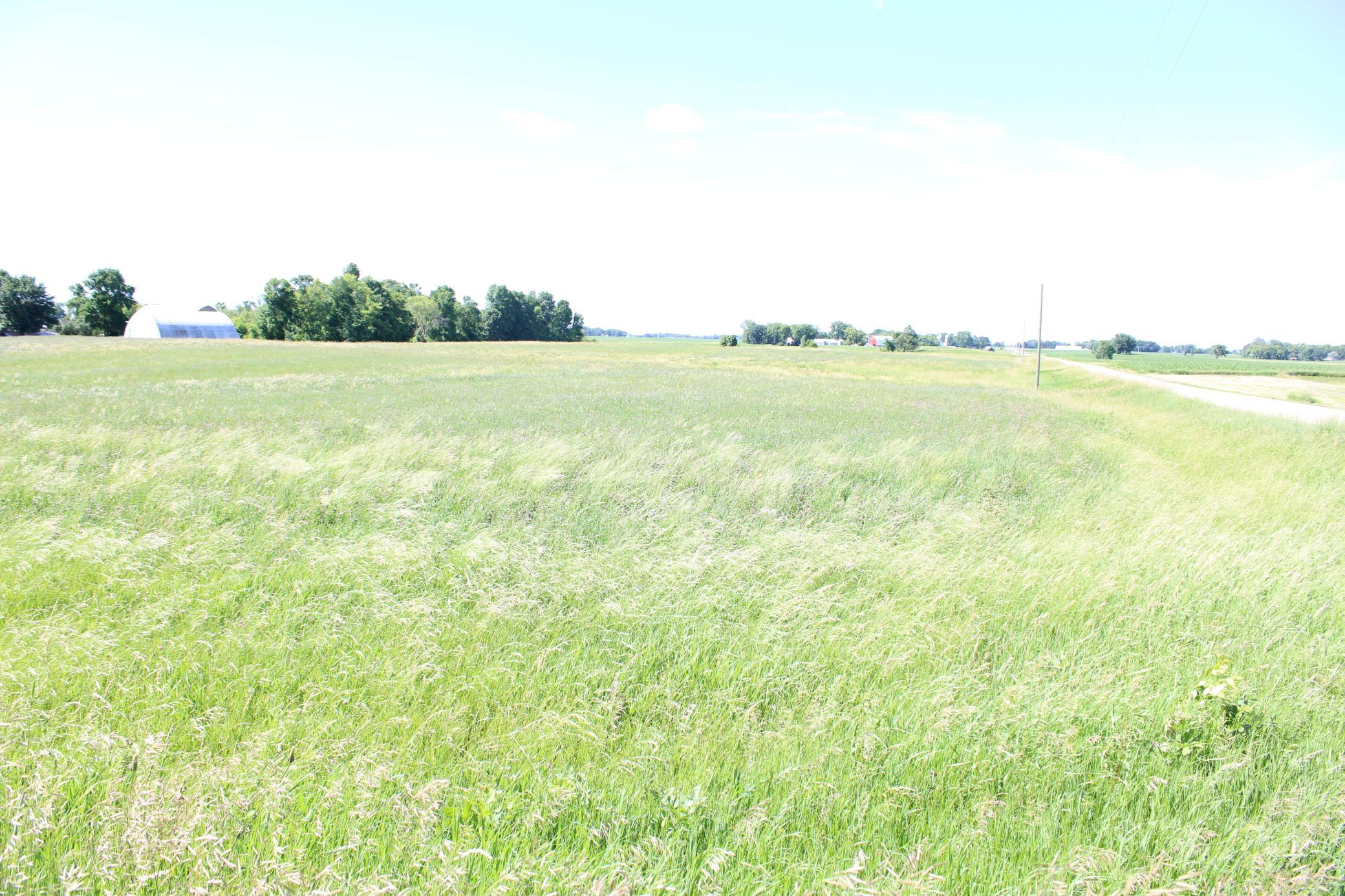22 Acres, view North; from the corner of 225th St and Ideal Ave.