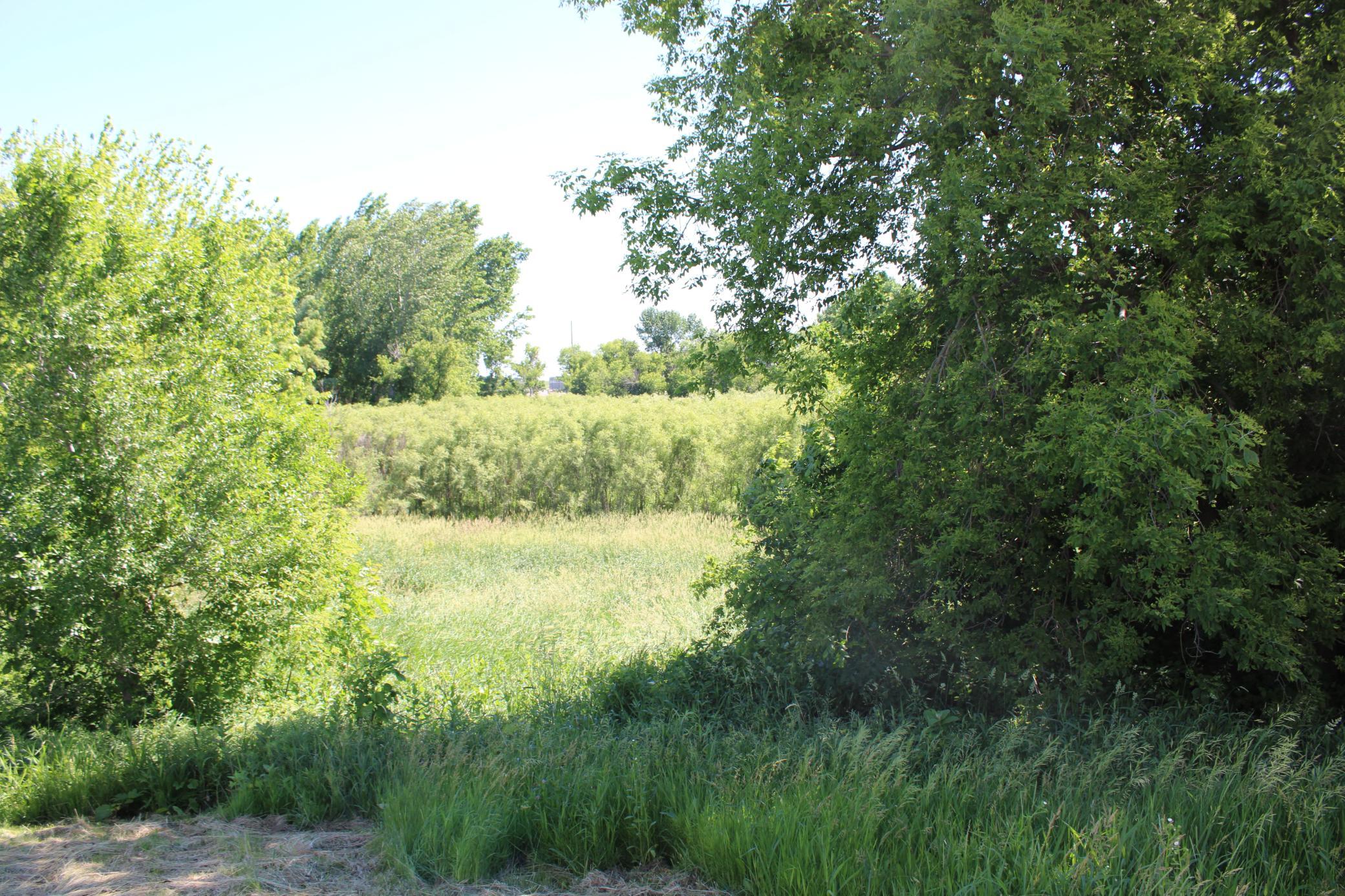NW Corner, with 4+ Acres on the East side of these two trees.