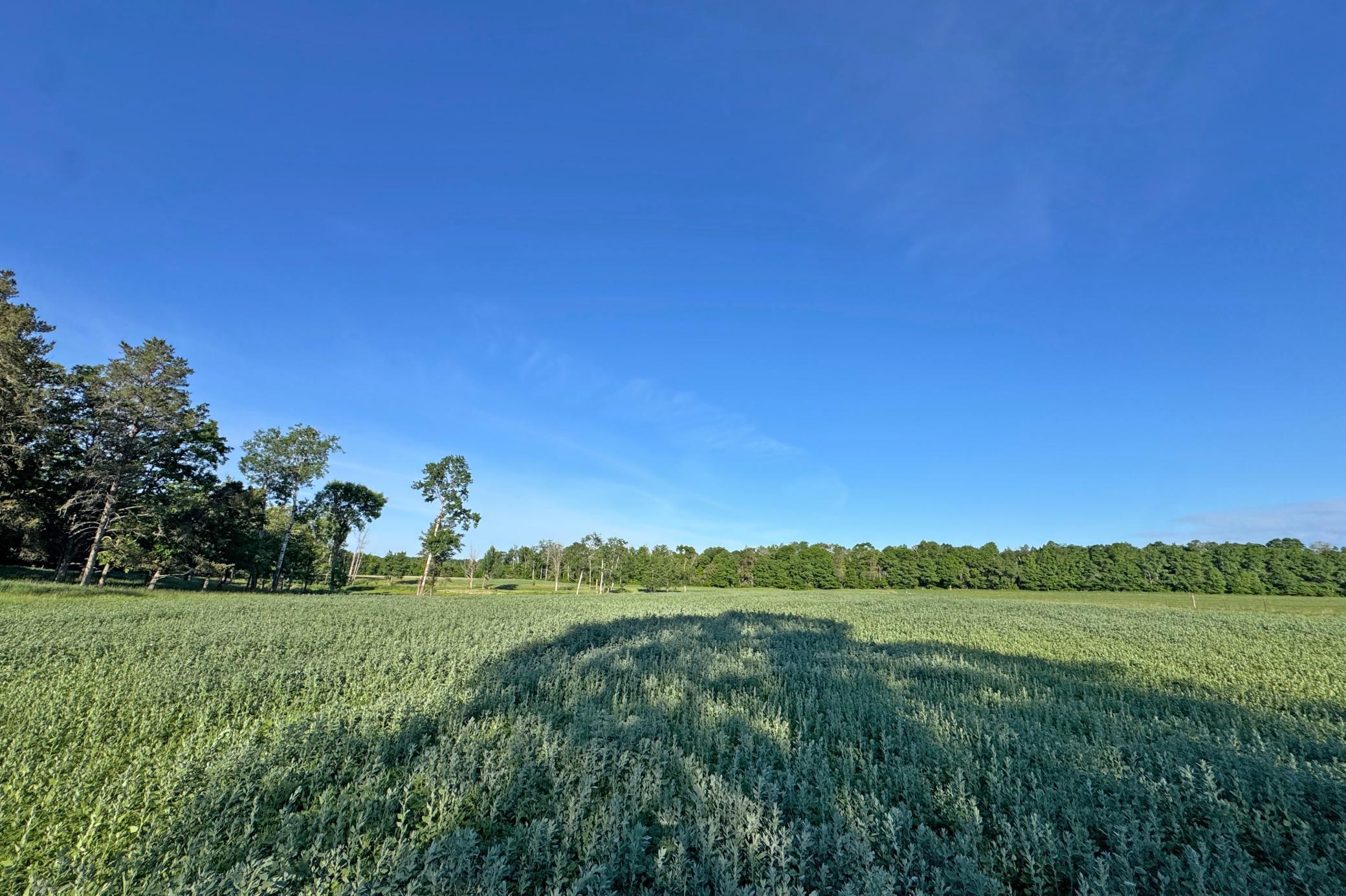 35-Crosslake-25-Land-23.JPG