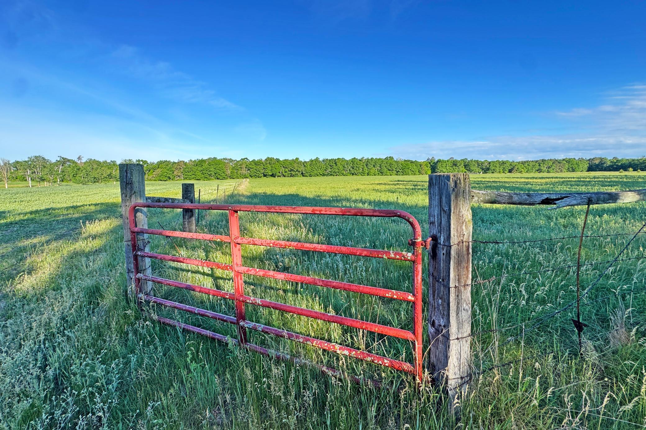 37-Crosslake-25-Land-25.JPG