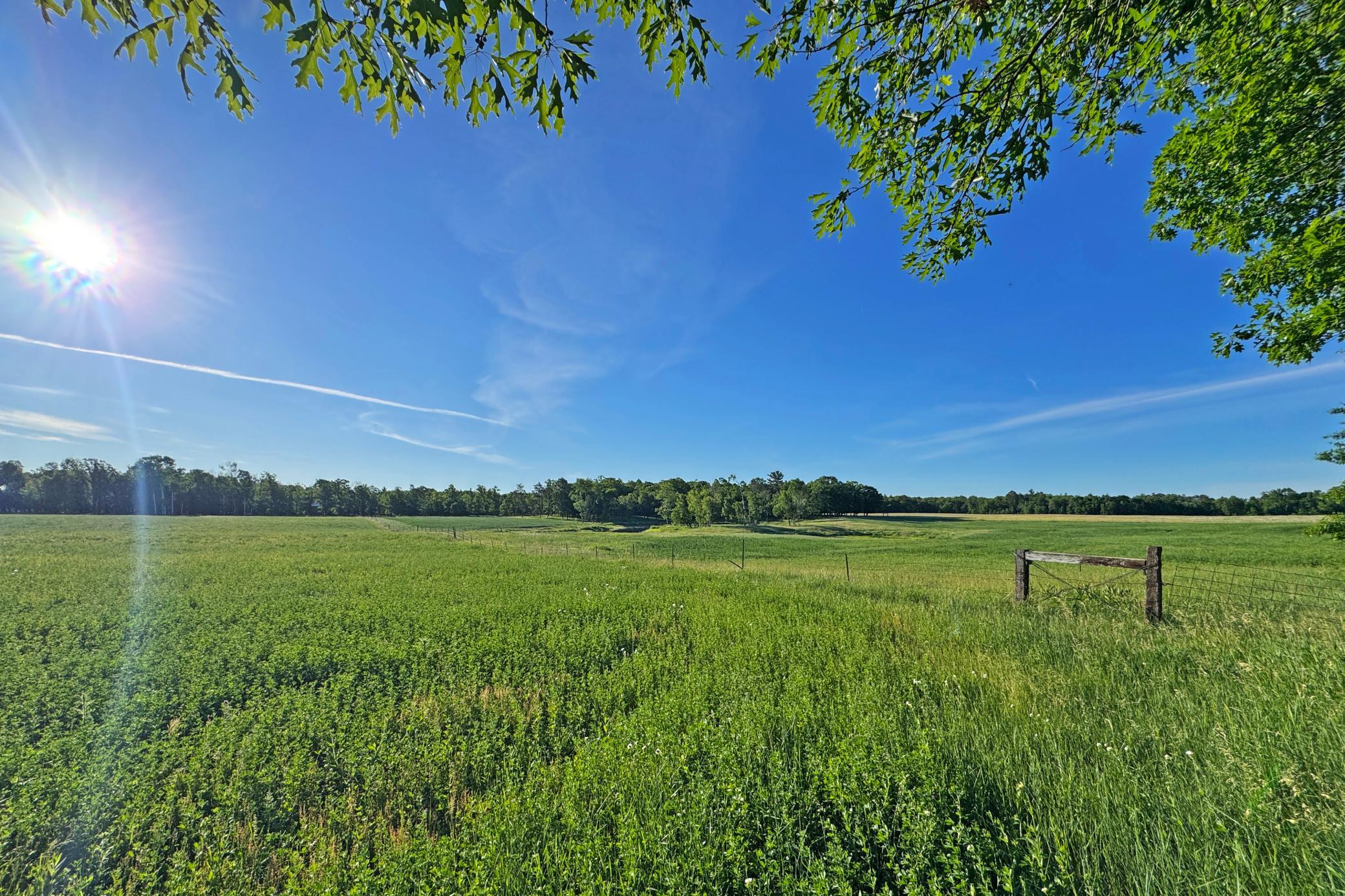 20-Crosslake-25-Land-08.JPG