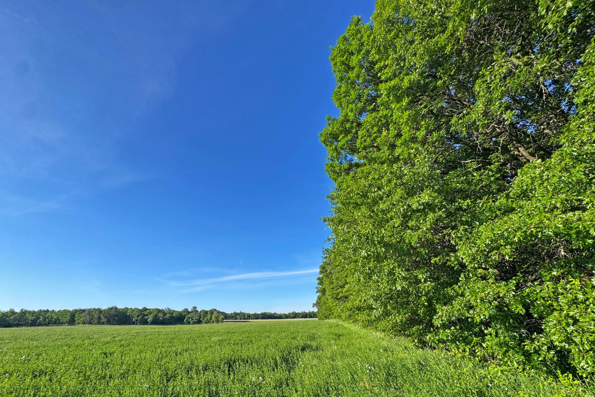 19-Crosslake-25-Land-07.JPG
