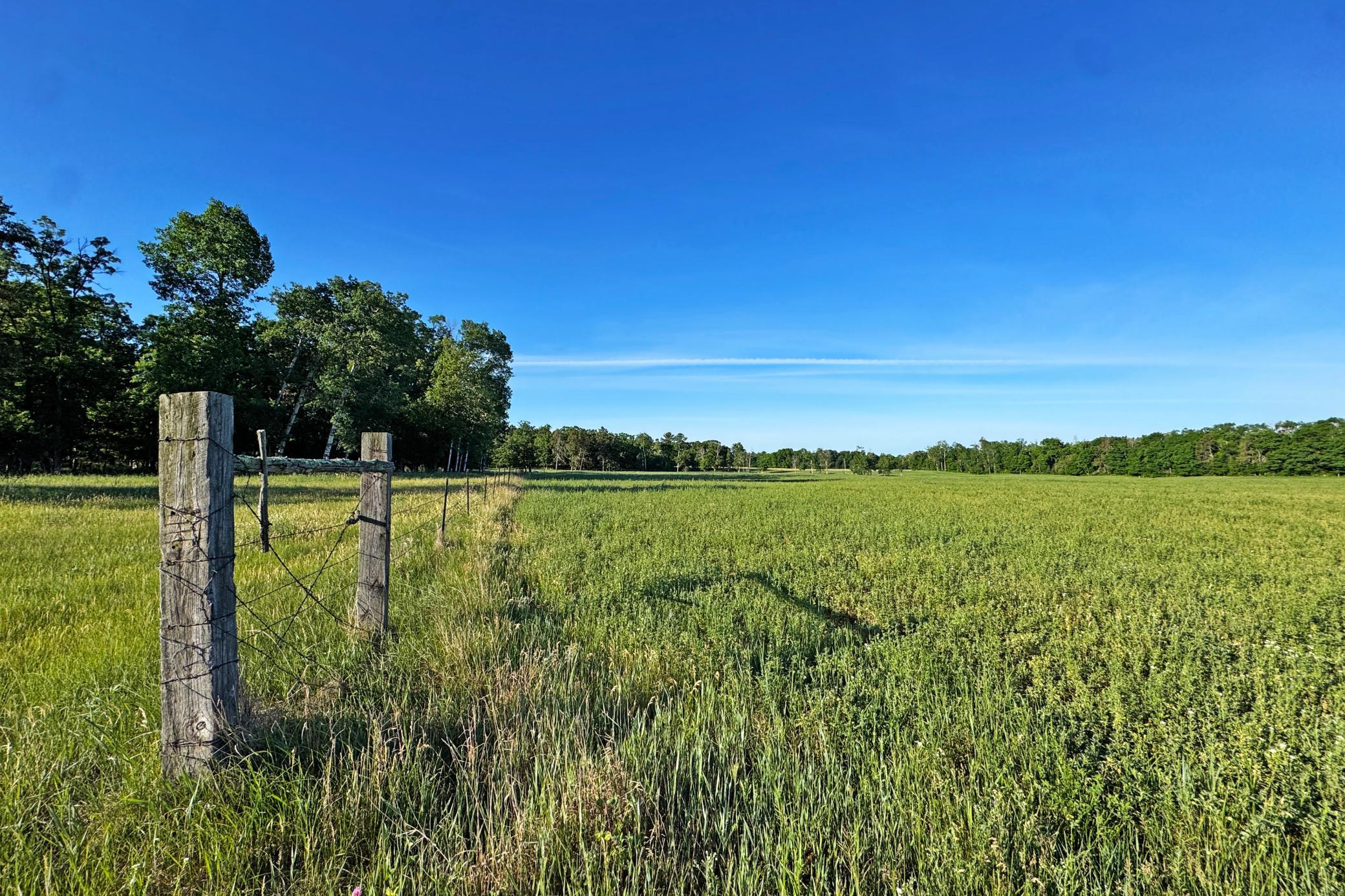 15-Crosslake-25-Land-03.JPG