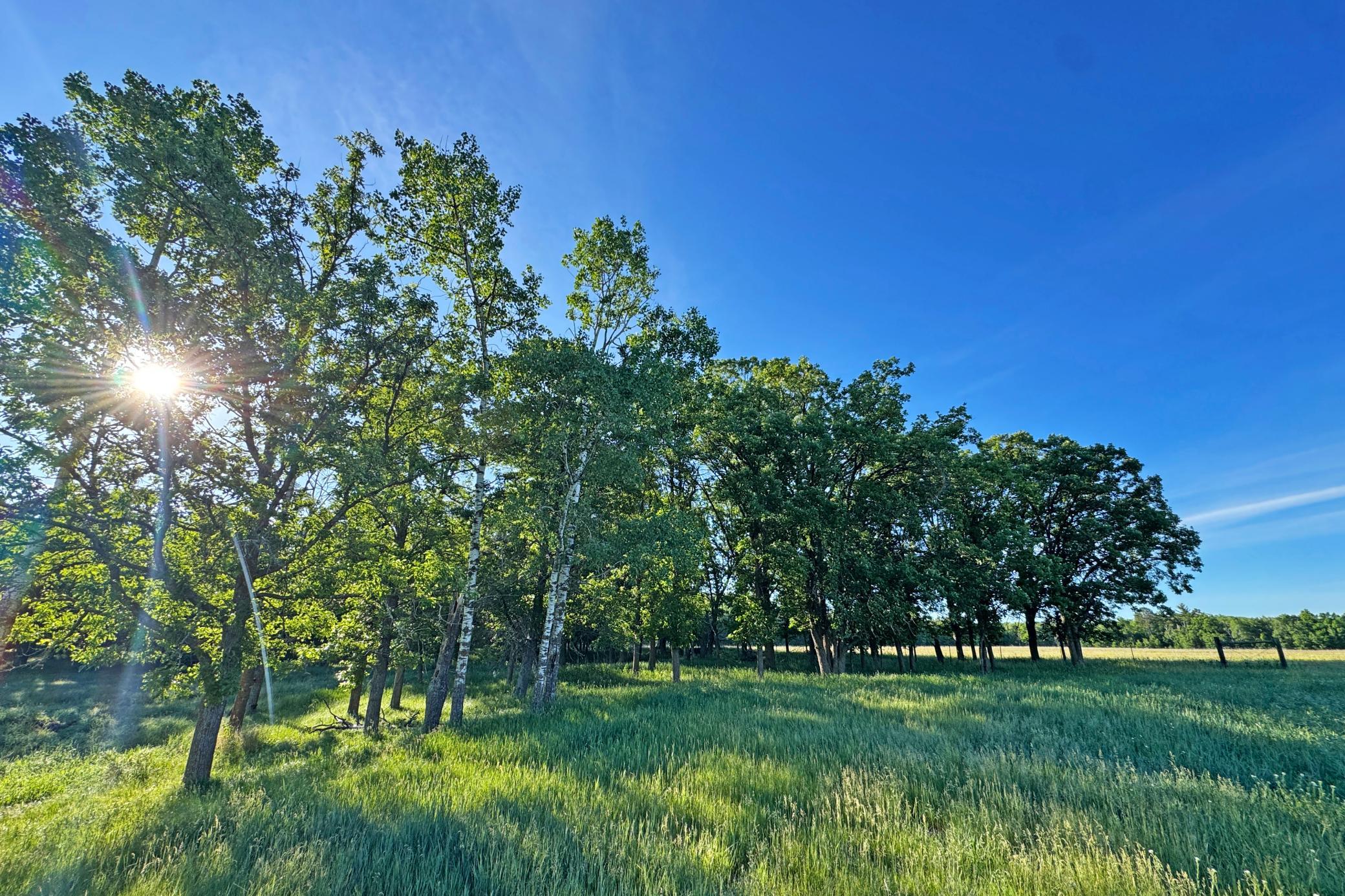 27-Crosslake-25-Land-15.JPG
